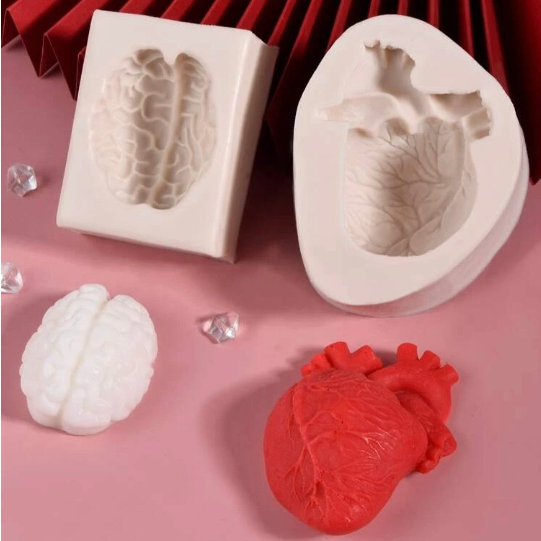 Human Heart Brain Silicone Mold