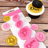 CD_-_Fondant_Embosser_Stamp