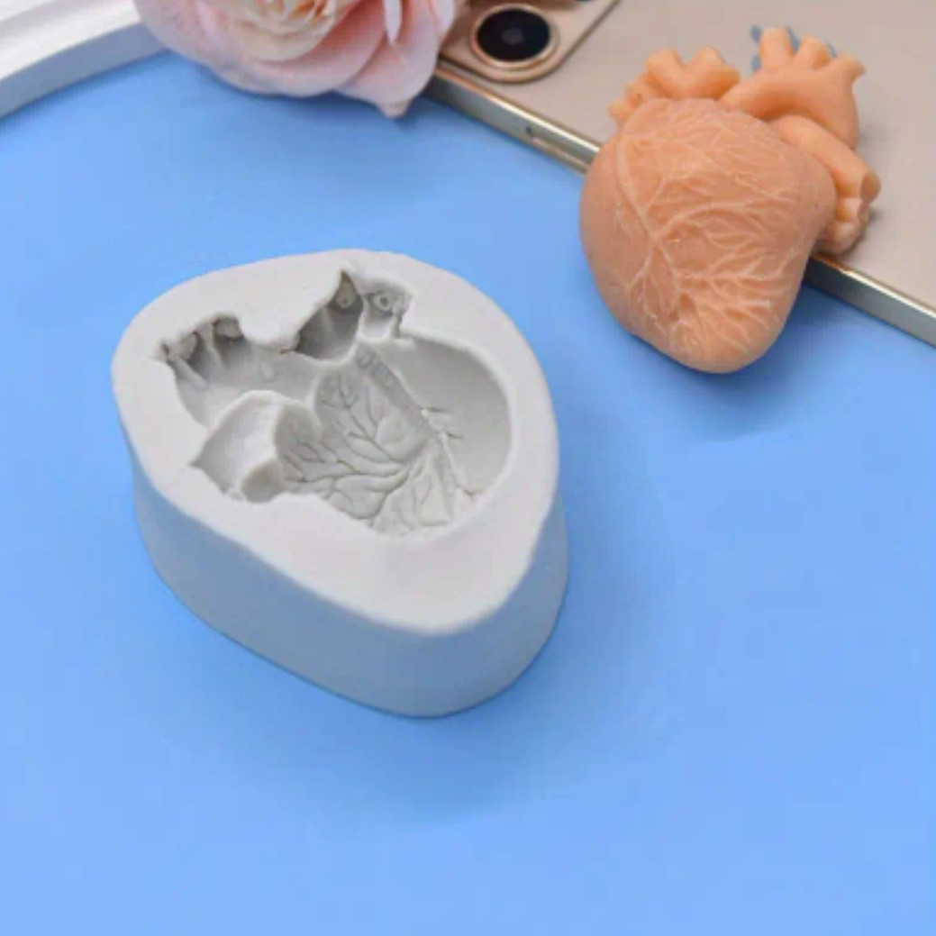 Human Heart and Brain Silicone Mold