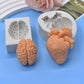 Human Heart and Brain - Silicone Mold