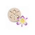 Orchid Silicone Mold