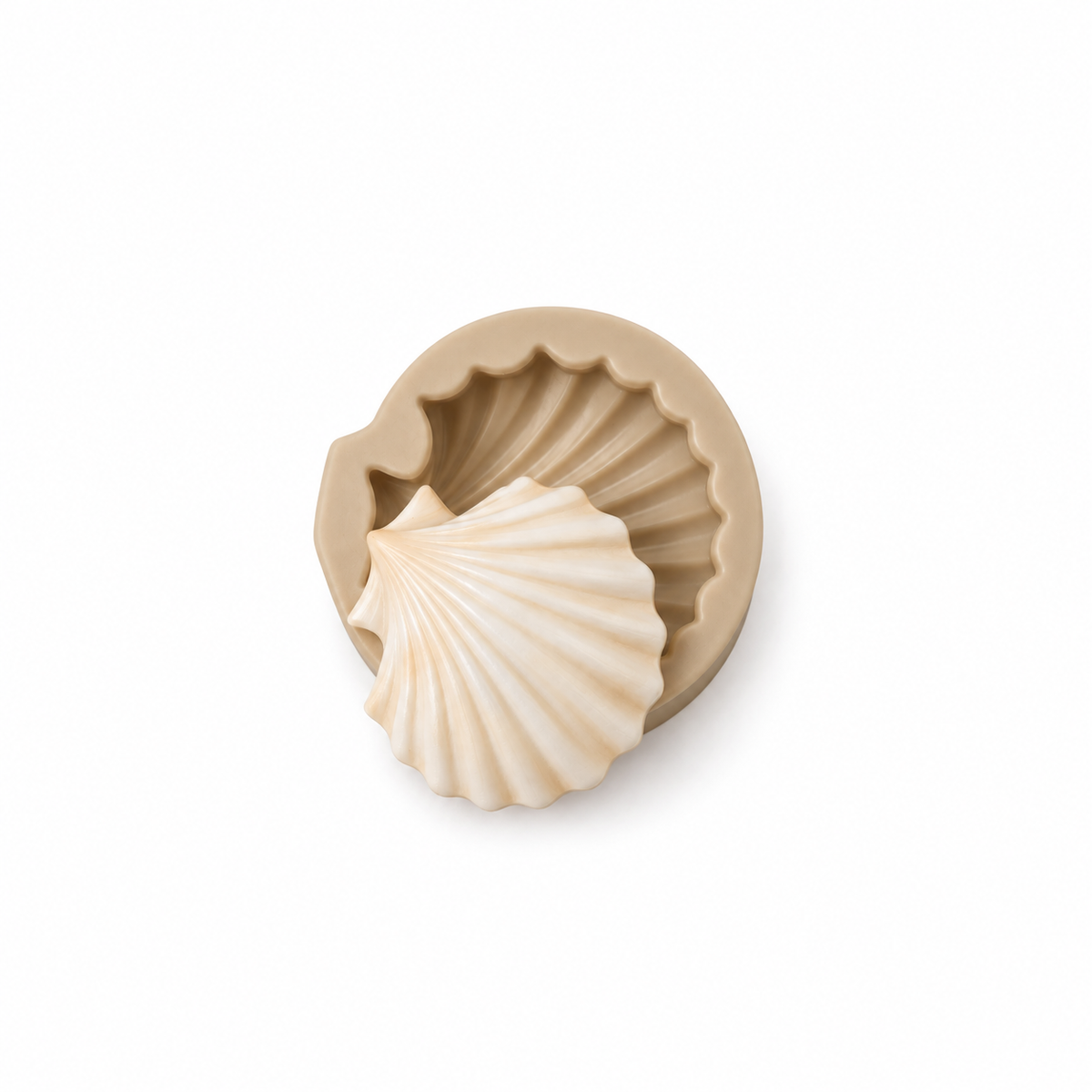 Scallop Seashell Silicone Mold