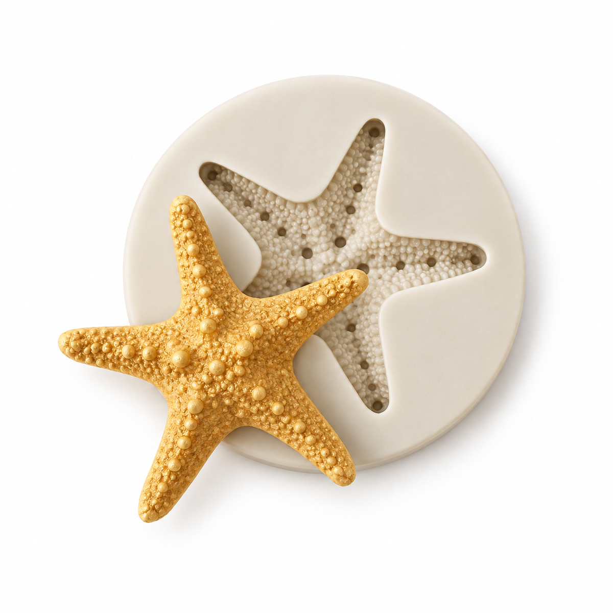 White_Knobby_Starfish_Mold