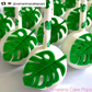 Tropical Monstera Leaf - Silicone Mold